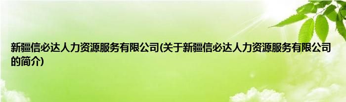 新疆信必达人力资源服务有限公司(关于新疆信必达人力资源服务有限公司的简介)