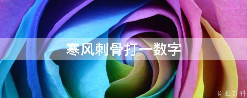 寒风刺骨打一数字