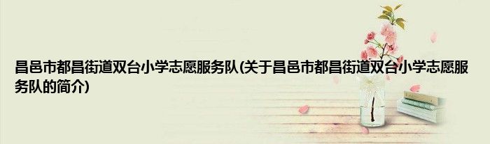 昌邑市都昌街道双台小学志愿服务队(关于昌邑市都昌街道双台小学志愿服务队的简介)