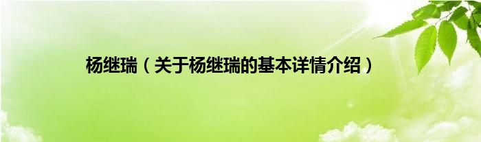 杨继瑞（关于杨继瑞的基本详情介绍）