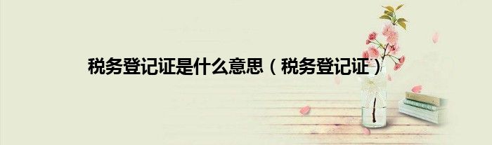 税务登记证是什么意思（税务登记证）