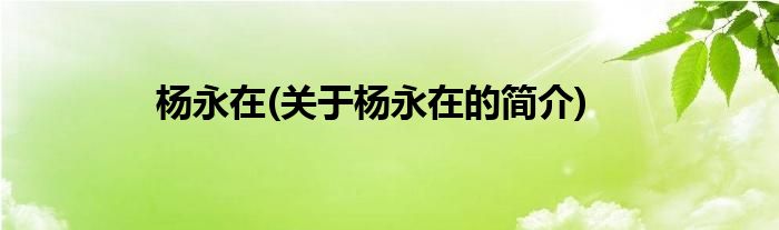 杨永在(关于杨永在的简介)