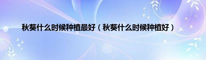 秋葵什么时候种植最好（秋葵什么时候种植好）