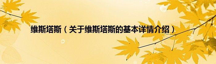 维斯塔斯（关于维斯塔斯的基本详情介绍）