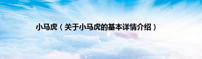 小马虎（关于小马虎的基本详情介绍）