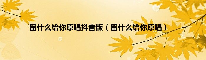留什么给你原唱抖音版（留什么给你原唱）
