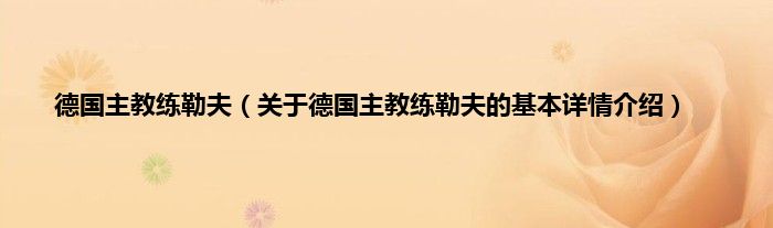 德国主教练勒夫（关于德国主教练勒夫的基本详情介绍）