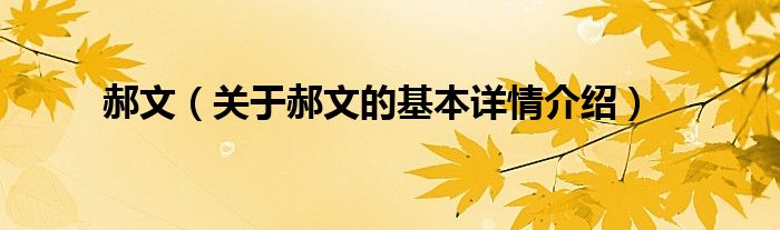 郝文（关于郝文的基本详情介绍）