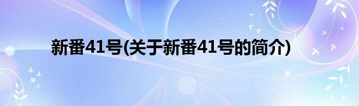 新番41号(关于新番41号的简介)