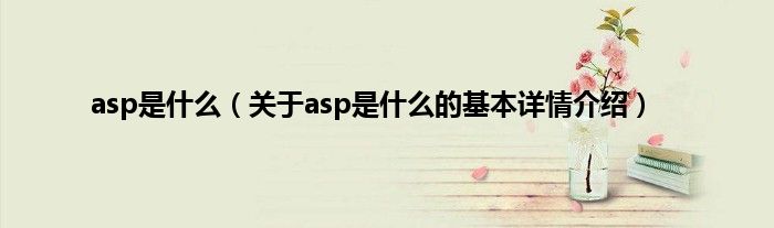 asp是什么（关于asp是什么的基本详情介绍）