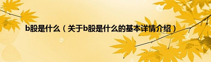 b股是什么（关于b股是什么的基本详情介绍）