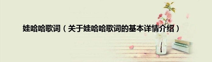 娃哈哈歌词（关于娃哈哈歌词的基本详情介绍）