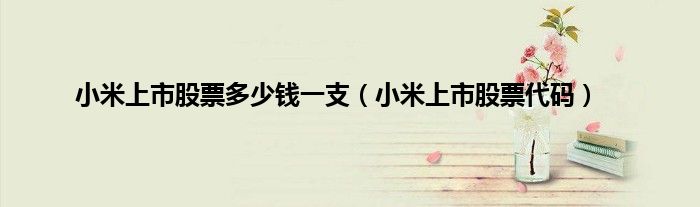 小米上市股票多少钱一支（小米上市股票代码）