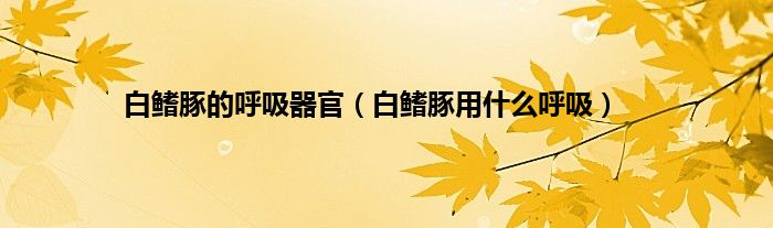 白鳍豚的呼吸器官（白鳍豚用什么呼吸）