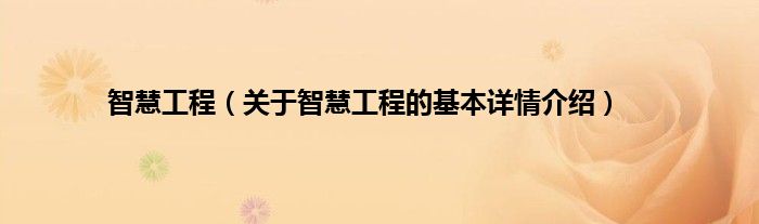 智慧工程（关于智慧工程的基本详情介绍）