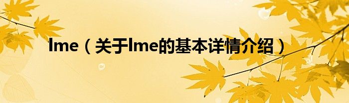 lme（关于lme的基本详情介绍）