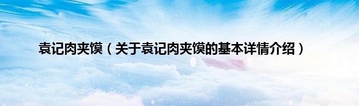 袁记肉夹馍（关于袁记肉夹馍的基本详情介绍）
