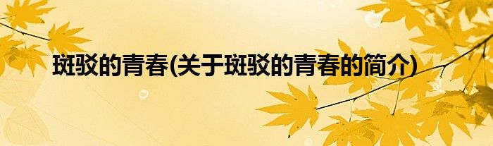 斑驳的青春(关于斑驳的青春的简介)