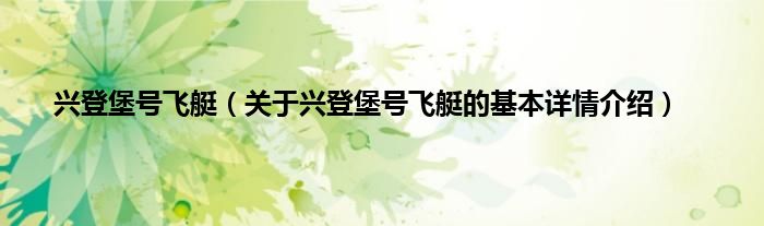 兴登堡号飞艇（关于兴登堡号飞艇的基本详情介绍）
