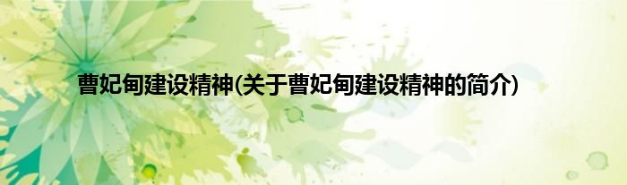 曹妃甸建设精神(关于曹妃甸建设精神的简介)