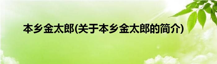 本乡金太郎(关于本乡金太郎的简介)
