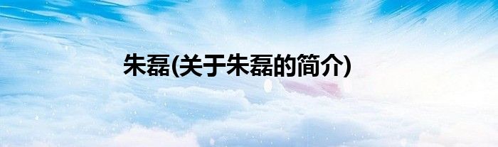朱磊(关于朱磊的简介)