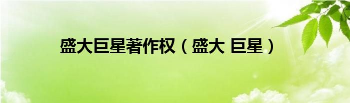 盛大巨星著作权（盛大 巨星）
