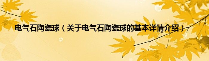 电气石陶瓷球（关于电气石陶瓷球的基本详情介绍）