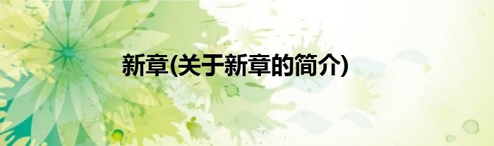 新章(关于新章的简介)