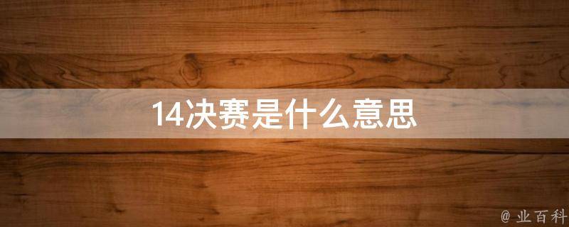 14决赛是什么意思