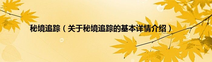 秘境追踪（关于秘境追踪的基本详情介绍）