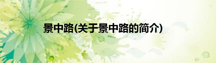 景中路(关于景中路的简介)