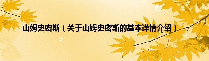 山姆史密斯（关于山姆史密斯的基本详情介绍）