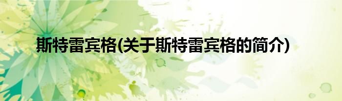 斯特雷宾格(关于斯特雷宾格的简介)