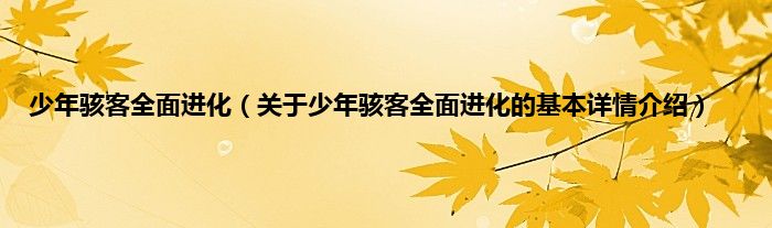少年骇客全面进化（关于少年骇客全面进化的基本详情介绍）