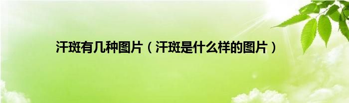 汗斑有几种图片（汗斑是什么样的图片）