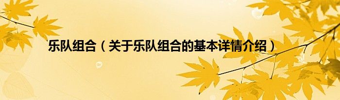 乐队组合（关于乐队组合的基本详情介绍）