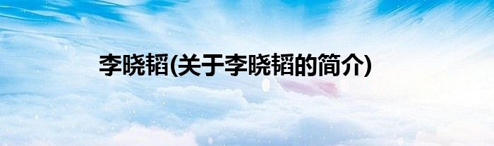 李晓韬(关于李晓韬的简介)