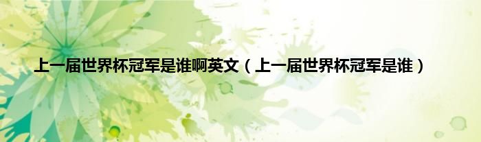 上一届世界杯冠军是谁啊英文（上一届世界杯冠军是谁）