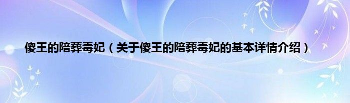 傻王的陪葬毒妃（关于傻王的陪葬毒妃的基本详情介绍）