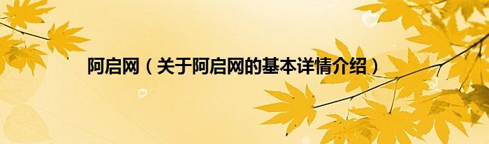 阿启网（关于阿启网的基本详情介绍）