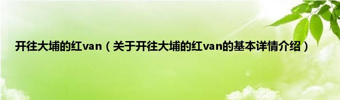 开往大埔的红van（关于开往大埔的红van的基本详情介绍）