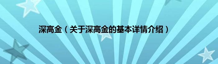 深高金（关于深高金的基本详情介绍）