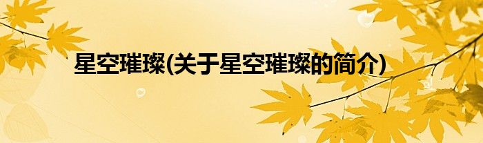 星空璀璨(关于星空璀璨的简介)