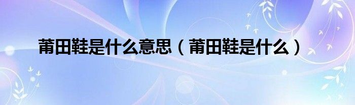 莆田鞋是什么意思（莆田鞋是什么）