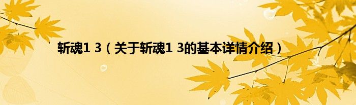 斩魂1 3（关于斩魂1 3的基本详情介绍）