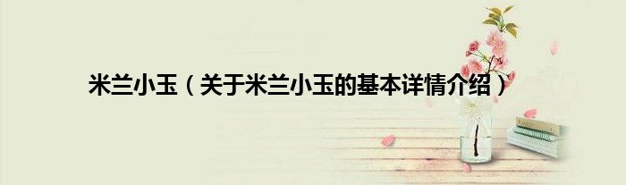 米兰小玉（关于米兰小玉的基本详情介绍）