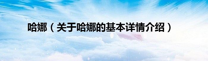 哈娜（关于哈娜的基本详情介绍）