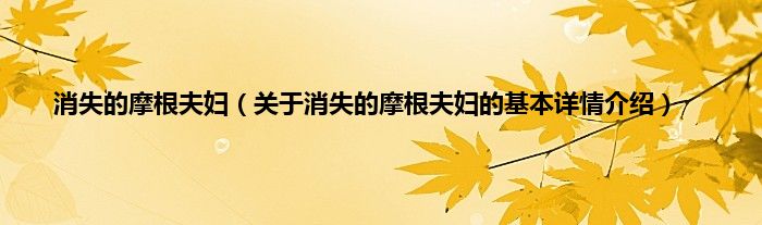 消失的摩根夫妇（关于消失的摩根夫妇的基本详情介绍）