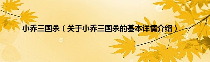 小乔三国杀（关于小乔三国杀的基本详情介绍）
